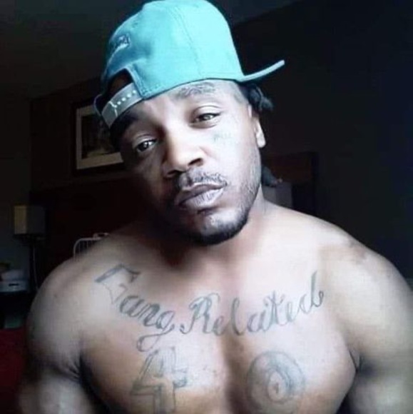 Meet your Posher, Malik - Picture 1 of 1